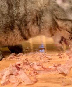 Cat-Man-Doo Extra Large Dried Bonito Flakes Treats for Dogs & Cats - All Natural High Protein Flakes - 4oz. / 112g Bag 4 Ounce (Pack of 1) 36 716BGC5RlL