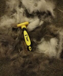 Thunderpaws Best Professional De-Shedding Tool and Pet Grooming Brush, D-Shedz for Breeds of Dogs, Cats with Short or Long Hair, Small, Medium and Large (Yellow) Yellow 38 716BdDDZlL