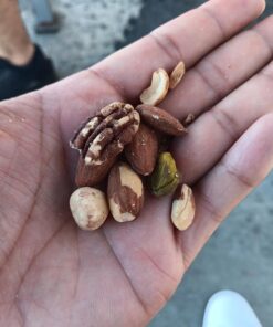 Daily Gourmet Nuts - Unsalted Mixed Nuts Snack Packs/Individually Wrapped Snacks/Nut Snacks/No Peanuts/Healthy Trail Mix Individual Packs/Deluxe Assorted Snacks (A. Original, 24 Packs) A. Original 1 Ounce (Pack of 24) 33 716C13Eli0L