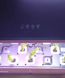 Indoor Garden Hydroponics Growing System, DUESI Upgrade 12 Pods Plant Germination Herb Kit with LED Grow Light, Hydrophonic Planter Grower Harvest Vegetable Lettuce for Hydroponic Gardeners (12 Pods) 37 716Gv8rG60L