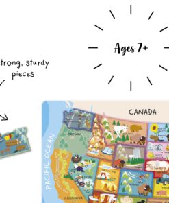 Janod Magnetic USA Map, 19.7-Inches x 13.4-Inches 7 716HgxwWBL