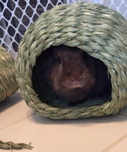 Oxbow Animal Health Timothy Hay Bungalow - Large Large (Pack of 1) 29 716IAbJDIiL