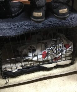 MidWest Homes for Pets Newly Enhanced Double Door iCrate Dog Crate, Includes Leak-Proof Pan, Floor Protecting Feet, Divider Panel & New Patented Features X-Small 63 716IG3VWQtL