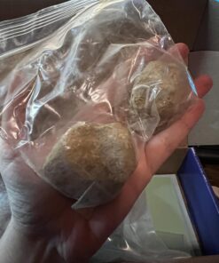 DANCING BEAR Rock, Mineral & Geodes Treasure Hunt Activity Kit (200 Pc Set) Real Shark Teeth Fossils, ID Sheet & Rock Book, STEM Rock, Mineral & Geodes Collection 45 716JLPj6OL