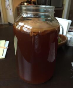 Cornucopia 1 Gallon Glass Kombucha Jar w/Cotton Cloth Cover & Plastic Lid for Storage after Brewing 22 716JNMBSf4L