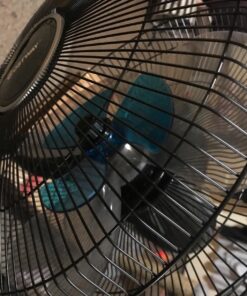 COSTWAY Pedestal Fan, Black-Double 3 Blades 28 716KOwzuC9L