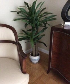 Nearly Natural 6648 4ft. Corn Stalk Dracaena Silk Plant (Real Touch),Green 46 716MySqI8aL