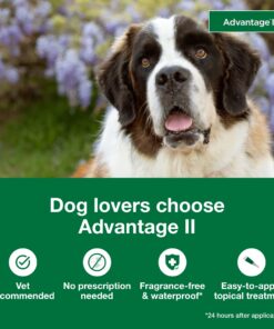 Advantage II XL Dog Vet-Recommended Flea Treatment & Prevention | Dogs Over 55 lbs. | 6-Month Supply 6-Pack 17 716N1m8d50L