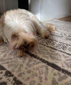 DentaLife Made in USA Facilities Small/Medium Dog Dental Chews, Daily - 40 ct. Pouch 40 Count (Pack of 1) 33 716Oidqaw1L