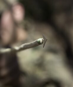 READYMAN Survival Cards (Wilderness) 7 716QAF w7L