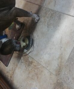 Loving Pets Gobble Stopper Slow Feeder Large 11 716S q3NxvL