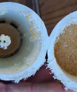 Aqua-Pure Whole House Scale Inhibition Inline Replacement Water Cartridge AP431, For Aqua-Pure System AP430SS, Helps Prevent Scale Buildup On Hot Water Heaters, Boilers, Plumbing Pipes and Fixtures Replacement Cartridge 16 716SmPnA9PL