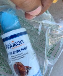 Aqueon Aquarium Fish Tank Betta Bowl Plus Water Conditioner, 4 Ounce 4 Ounces 20 716T5fSNlRL