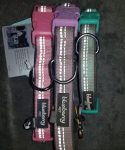 Blueberry Pet Soft & Safe 3M Reflective Neoprene Padded Adjustable Dog Collar - Baby Blue Pastel Color, Medium, Neck 14.5"-20" 59 716VrX24vrL 1