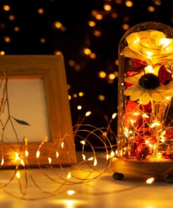 YIHONG 4 Set Fairy Lights Battery Operated - 16.4ft Led Christmas String Lights 8 Modes 50 LED Starry Lights - Copper Wire Firefly Lights for Wedding Birthday Party Christmas Decoration- Warm White 30 716VvIf1prL