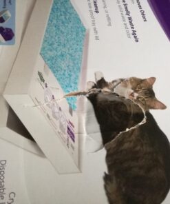 PetSafe ScoopFree Crystal Litter Tray Refills, Premium Blue Crystals, 3-Pack, Disposable Tray, Includes Leak Protection & Low Tracking Litter, Absorbs Odors On Contact 3 Trays 42 716XffQe06L 1