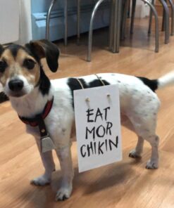 Rickard's DD683 Dog Bell, Nickel Plated 9 716XqMm4BkL