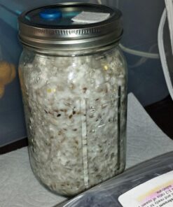 Sterilized Rye Berry Mushroom Substrate in Injectable Quart Jars 10 716YazVT1L