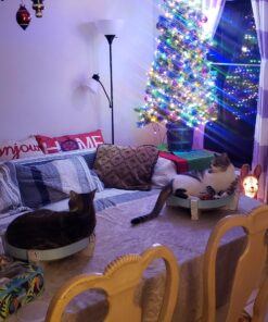 Catstages Scratch, Snuggle & Rest Corrugated Cat Scratcher With Catnip (packaging may vary) Scratch Snuggle & Rest 29 716cWpmtmLL