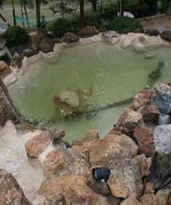 Pond Armor SKU-TAN-QT-R Non-Toxic Pond Shield Epoxy Paint, 1.5-Quart, Tan, 48 Fl Oz (Pack of 1) 12 716dRCisJEL