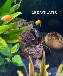 Seachem PhosGuard, 100 mL bagged - 67101850 27 716e3LozpYL