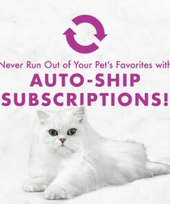 Purina Fancy Feast Salmon Feast Classic Grain Free Wet Cat Food Pate - (24) 3 oz. Cans 3 Ounce (Pack of 24) 28 716f7HNAXCL 5