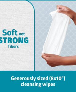 Medline ReadyFlush Large Adult-Sized 8x12 Personal Cleansing Cloths - Tub of 60 Flushable Wipes 12 716h5FGEAUL