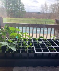 Burpee Self-Watering Seed Starter Tray, 72 Cells 72 Cell Self-Watering Starter 30 716hl392HyL