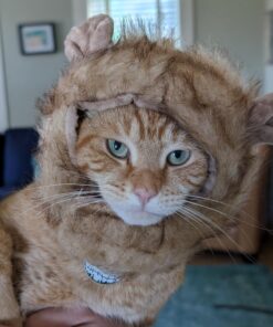 Pet Krewe Cat Lion Mane Halloween Costume – Fits Neck Size 8”-14 - Lion Costume for Small Cats and Kittens – Ideal for Halloween, Cat Birthday, Cat Cosplay, Cat Outfits, Pet Clothes One size fits all 35 716jM99dLXL