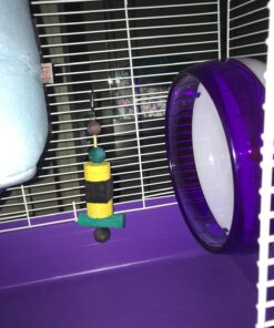 Kaytee Perfect Chew Hamster 19 716lIOe0MWL