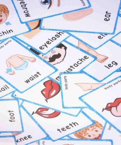 FieldDream 36Pcs/Set Body Parts Child Flash Cards Learning Toys English Baby Card Kids Gifts Pre-Kindergarten with Ring 10 716lYZzPmL