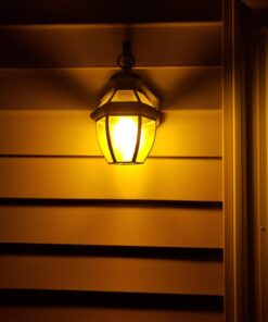 TCP 5W Equivalent LED Yellow Bug Light Bulbs, Non-Dimmable 1 Count (Pack of 1) 28 716lmcsJXsL