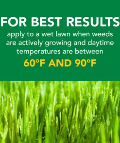 Scotts Turf Builder Weed & Feed3, Weed Killer Plus Lawn Fertilizer, Controls Dandelion and Clover, 15,000 sq. ft., 42.87 lbs. 15,000 sq. ft. Weed and Feed 21 716okcyLtkL 1