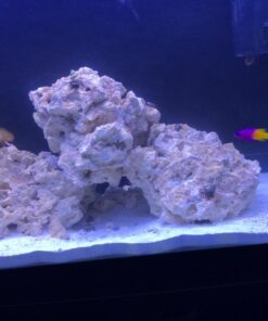 Seachem Stability Fish Tank Stabilizer - For Freshwater and Marine Aquariums 100ml 100 mL / 3.4 fl. oz. white 19 716p1yk39dL