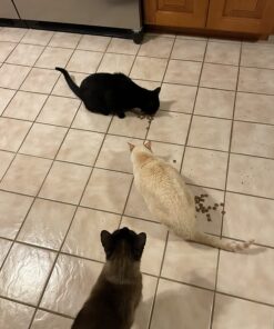 FELIWAY MultiCat Calming Pheromone, 30 Day Refill - 1 Pack 32 716p2YwrCDL