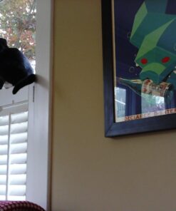 VTech KidiZoom Camera Pix, Pink (Frustration Free Packaging) Frustration-Free Packaging 30 716qmY0qS5L