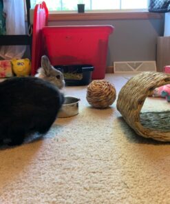 Oxbow Animal Health Timothy Hay Tunnel 25 716rCyc6XUL