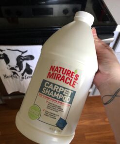 Nature's Miracle Carpet Shampoo, Deep-Cleaning Stain and Odor Remover 64 Ounce Original 64 Fl Oz (Pack of 1) 48 716rzXRPGSL