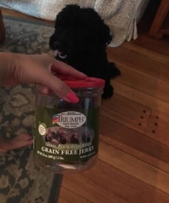 Triumph Dog Turkey, Pea, & Berry Grain Free Jerky, 24-Ounce 1.5 Pound (Pack of 1) 31 716tUniRJL