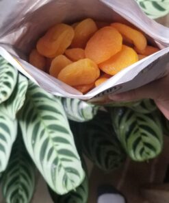 Anna and Sarah Dried Turkish Apricots SIZE #1 Big Size in Resealable Bag, 2 Lbs. 2 Pound (Pack of 1) 31 716u3Lmq02L