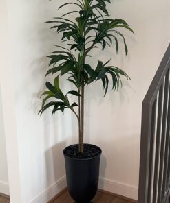 Nearly Natural 6596 6ft. Dracaena Silk Plant (Real Touch),Green 41 716wHbYK8yL