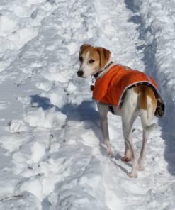 Zack & Zoey Nor'easter Blanket Coat for Dogs, 20" Large, Orange 1 L (Neck: 17", Girth: 28", Back: 20") 35 716wK lC6PL 3