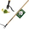 Grampa's Weeder - The Original Stand Up Weed Puller Tool with Long Handle - Made with Real Bamboo & 4-Claw Steel Head Design - Easily Remove Weeds Without Bending, Pulling, or Kneeling 16 716y9oAIhL