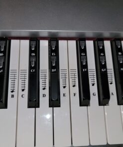 Piano and Keyboard Music Note Full Set Stickers for White and Black Keys; Transparent and Removable; Made in USA 43 716z8KhydsL