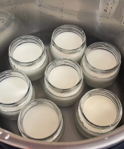 Euro Cuisine GY1920 Glass Jars with Lids for Yogurt Maker, Clear, 6 Ounce, Set of 8 6oz Glass Jars for Yogurt, Parfaits, Clear Yogurt Containers 36 717 t55nECL