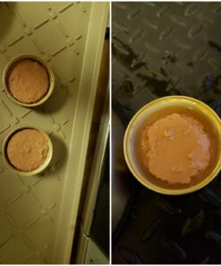 Instinct Limited Ingredient Diet Grain Free Real Rabbit Recipe Natural Wet Canned Cat Food, 3 oz. Cans (Case of 24) 3 Ounce (Pack of 24) 38 7170UQfZ9UL