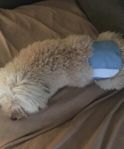 PET MAGASIN Male Dog Belly Manner Band Wraps Nappies, 3-Pack, Blue Green and Purple, Small Solid Small (13"-15" Waist) 39 7178ItmiQ9L