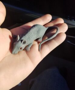 Mouse Lifelike Rubber Gag 17 7179gZtLJkL