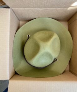 Olive Green Park Ranger/Mountie/ Smokey Bear Hat-One Size Fits Most Adults 12 717Ak1siedL