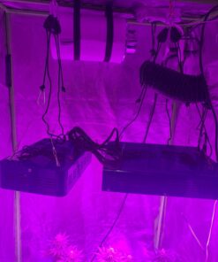 VIVOSUN 4 Inch Air Carbon Filter Smellines Control with Australia Virgin Charcoal for Inline Duct Fan, Grow Tent, Pre-filter Included, Reversible Flange 4" x 12" 35 717F4ES5HTL